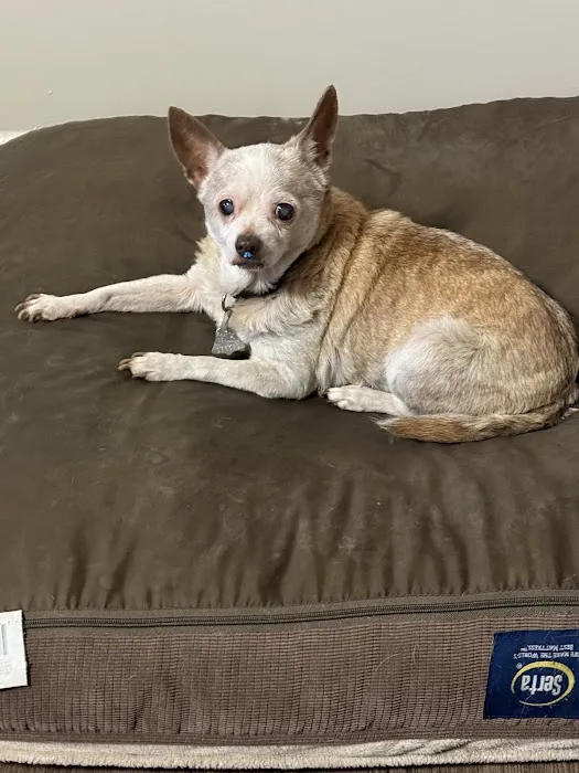 Magnolia Animal Clinic 5