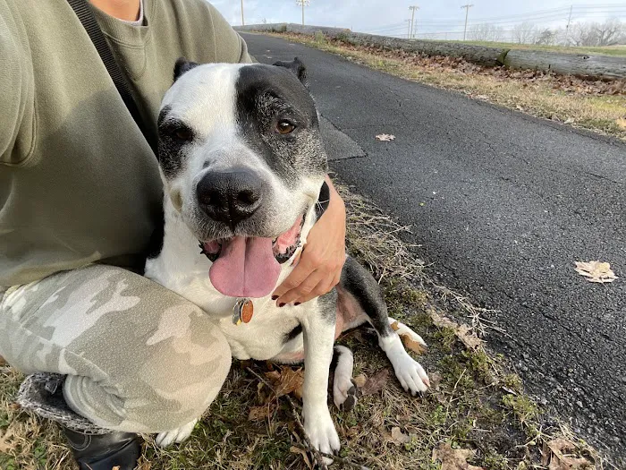 Magnolia Animal Clinic 1