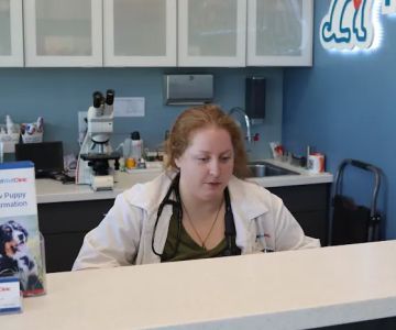 PetWellClinic - Randolph Street