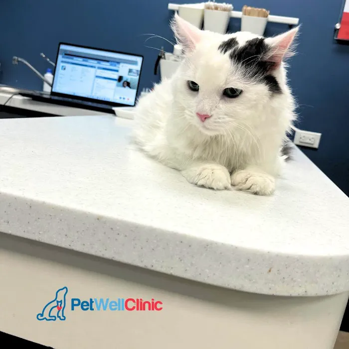 PetWellClinic - Randolph Street 9