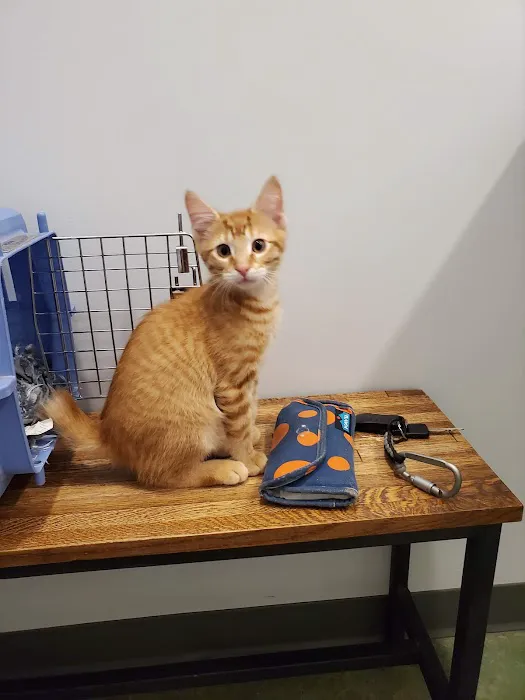 Riverside Veterinary Clinic 1