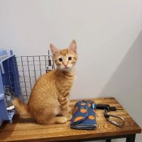 Riverside Veterinary Clinic ico