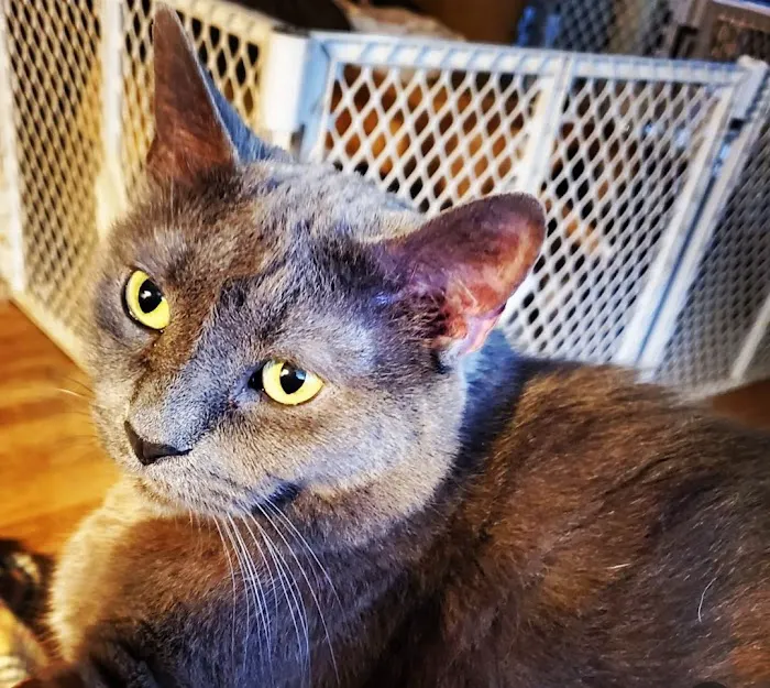 Riverside Veterinary Clinic 5