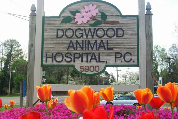 Dogwood Animal Hospital 2