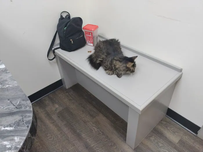 Dogwood Animal Hospital: Dr JR Killey DVM 1