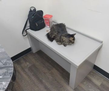 Dogwood Animal Hospital: Dr JR Killey DVM