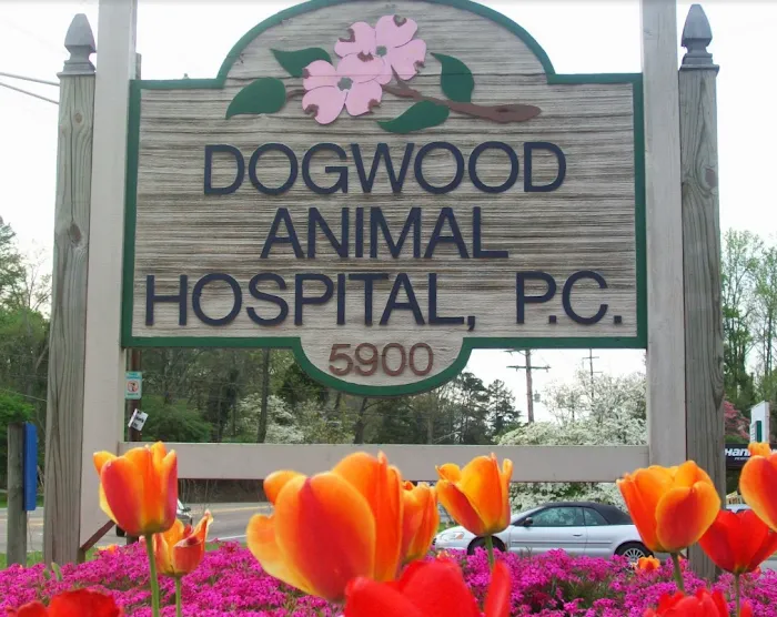 Dogwood Animal Hospital: Dr JR Killey DVM 4