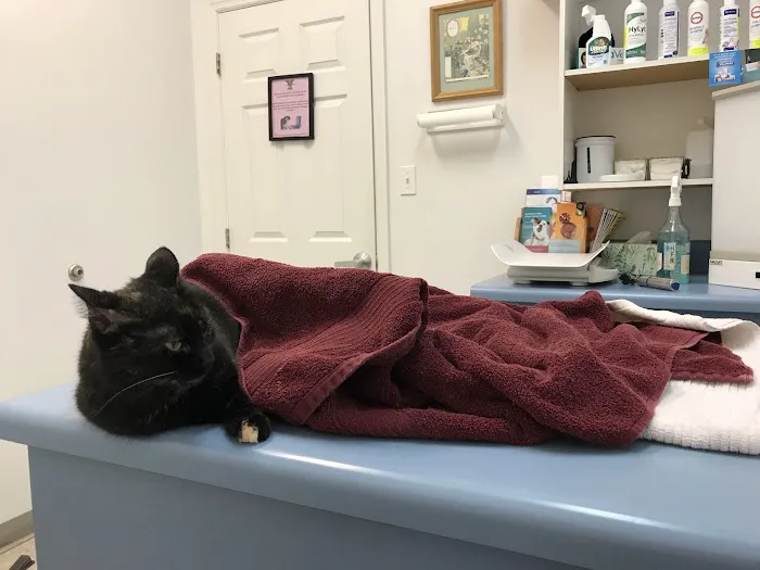 Tri-County Small Animal Hospital 3