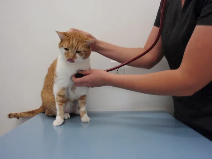 Tri-County Small Animal Hospital 10