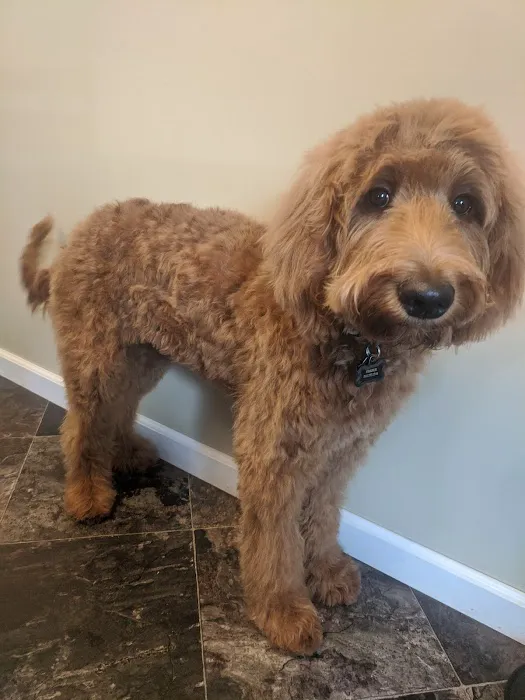 Tri-County Small Animal Hospital 1