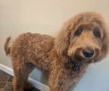 Tri-County Small Animal Hospital