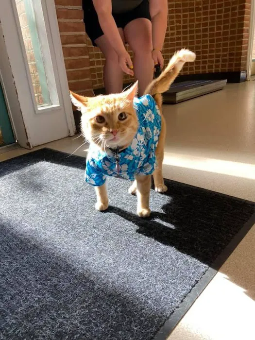 McArthur Animal Hospital 8