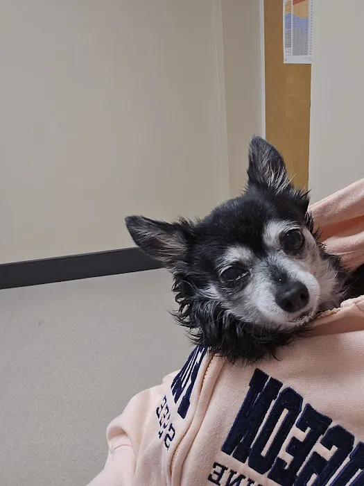 McArthur Animal Hospital 2