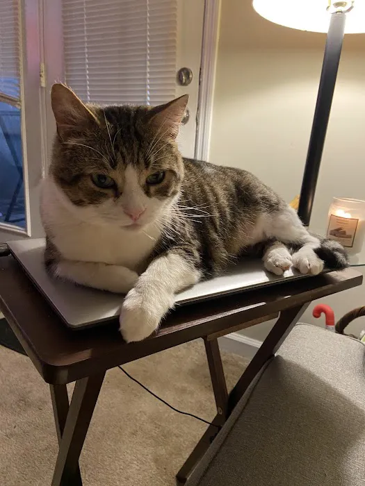 Butler Veterinary Services, PLLC 8