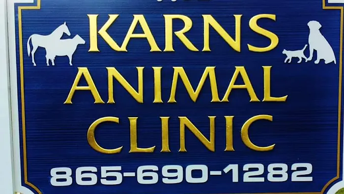Karns Animal Clinic 8