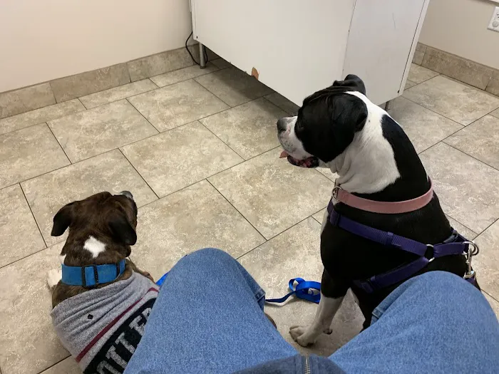 Butler Animal Clinic 1