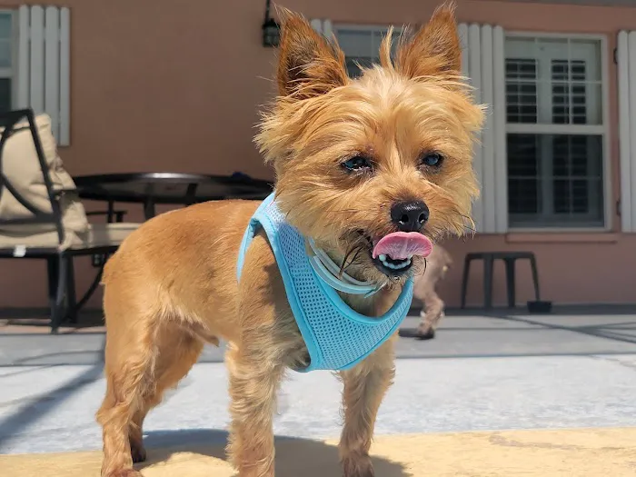 Butler Animal Clinic 3