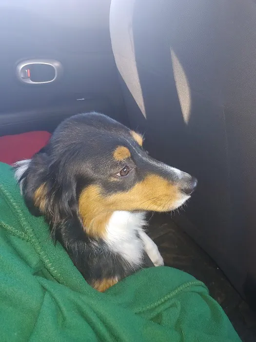 Butler Animal Clinic 9