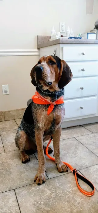 Butler Animal Clinic 8