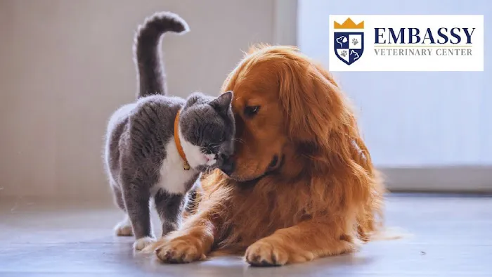 Embassy Veterinary Center Hardin Valley 8