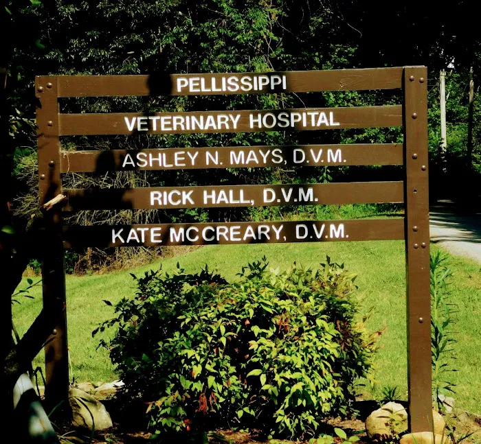 Pellissippi Veterinary Hospital 8