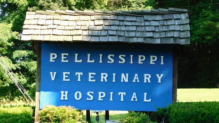 Pellissippi Veterinary Hospital 7