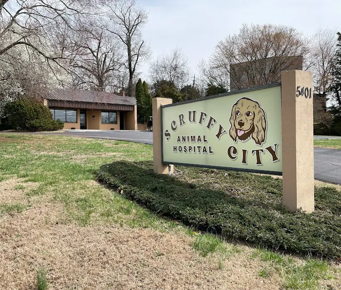 Scruffy City Animal Hospital 10
