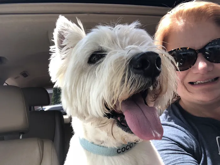 West Hills Animal Hospital 7