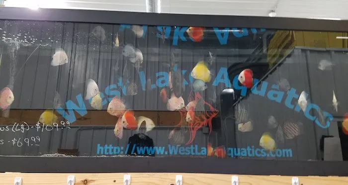 West Lake Aquatics 1