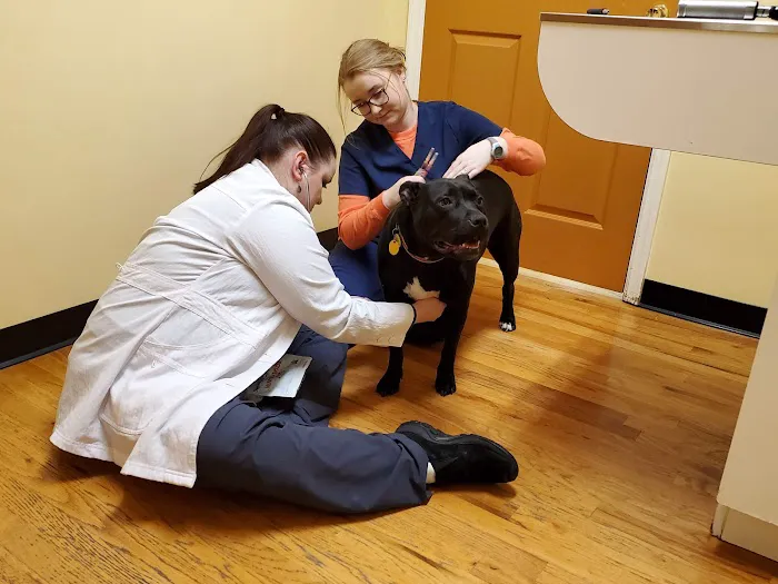 Middlebrook Animal Clinic 3
