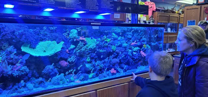 Aquatic Environments 1