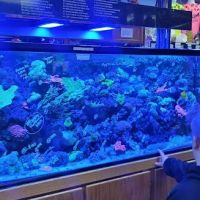 Aquatic Environments ico