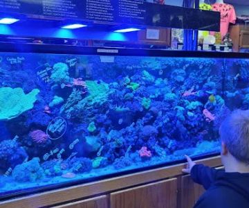 Aquatic Environments