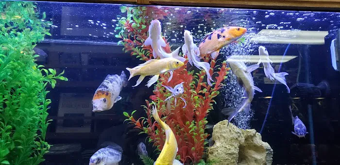 Aquatic Environments 10