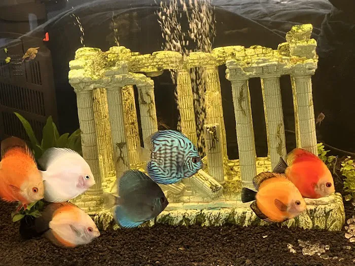 Aquatic Environments 9
