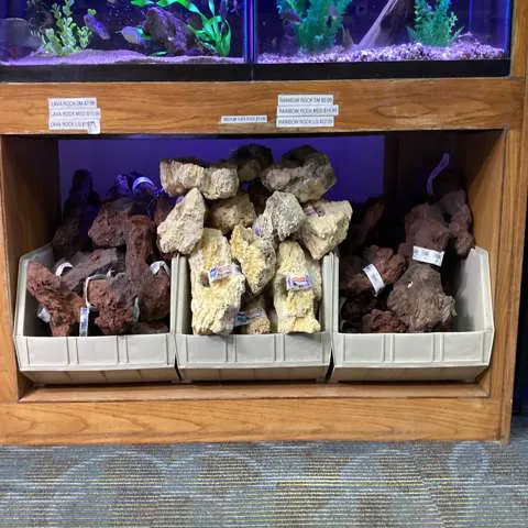 Aquatic Environments 6