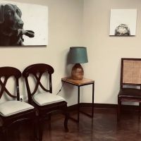 Cedar Bluff Animal Clinic ico