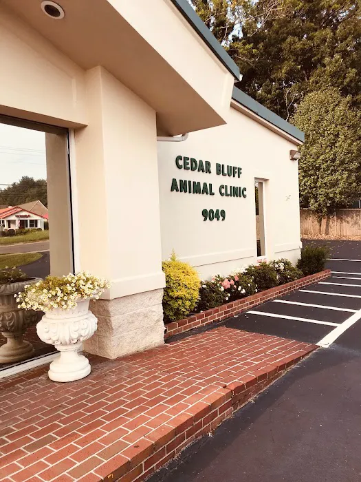 Cedar Bluff Animal Clinic 4