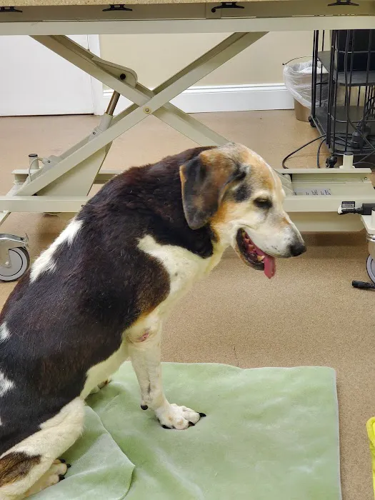 Cedar Bluff Animal Clinic 9