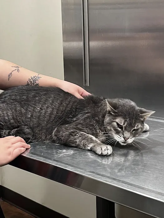 Cedar Bluff Animal Clinic 5