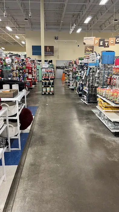 Petco 10
