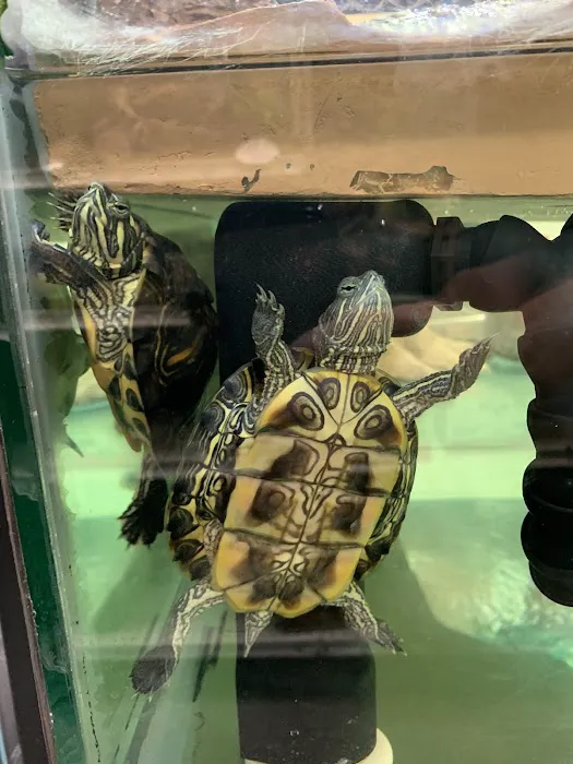 Petco 6