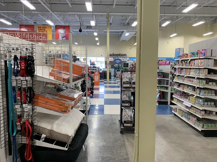 Petco 8