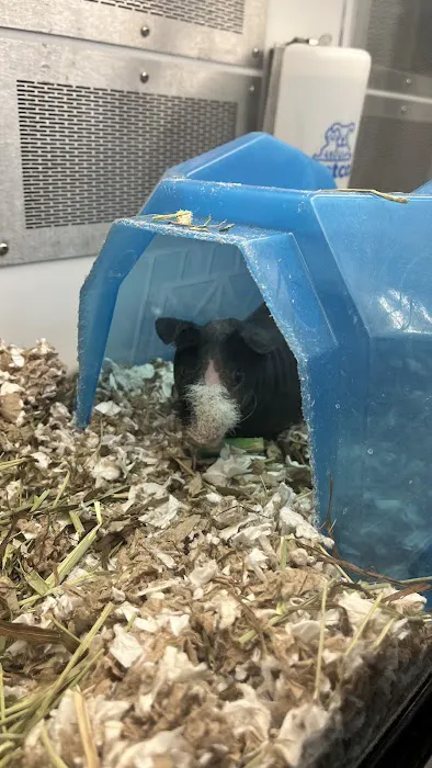 Petco 2