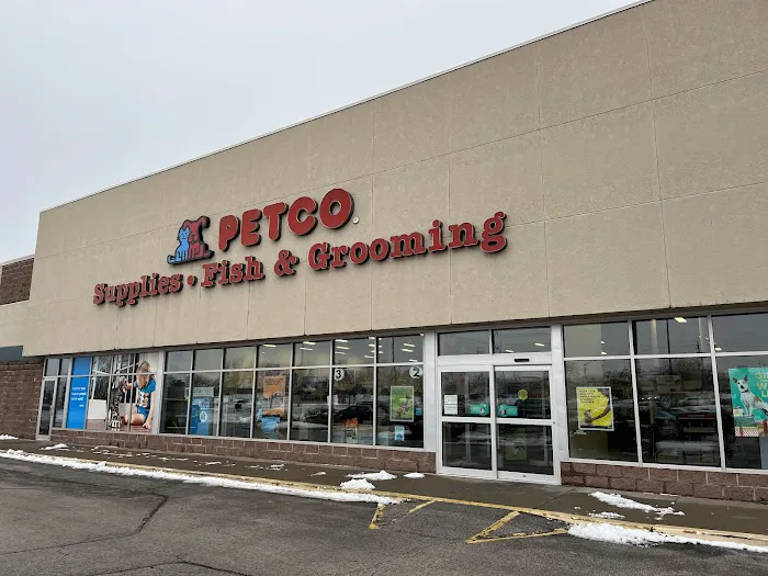 Petco 7