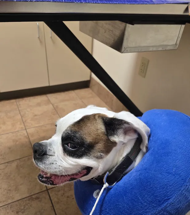 Lovell Animal Hospital 8