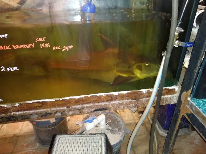 Roe Aquarium & Pet Co 2