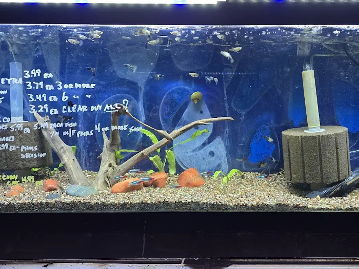 Roe Aquarium & Pet Co 10