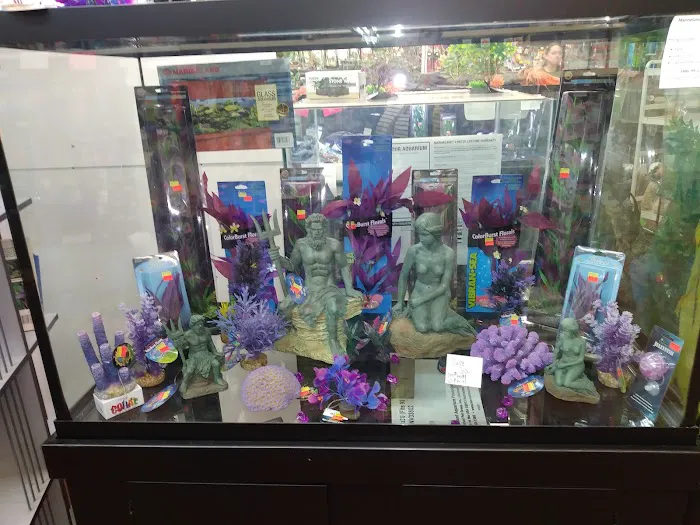 Roe Aquarium & Pet Co 5