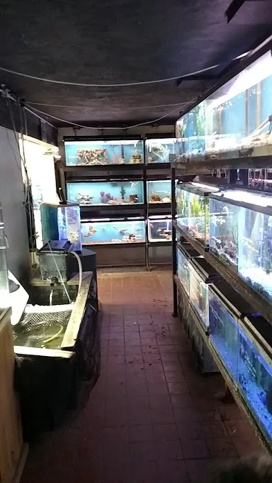 Roe Aquarium & Pet Co 1